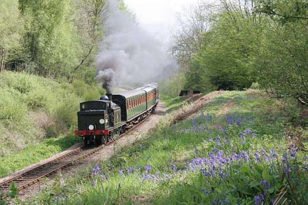 32473 with the Bluebells - Tony Pearce - 2005