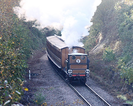 Fenchurch in Imberhorne Cutting - Russell Pearce - 1 December 2022