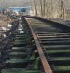 Ardingly siding, 16/03/03