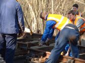 Ardingly siding, 16/03/03