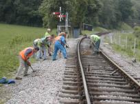 Working at Leamland, 1st June 2003