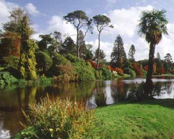 National Trust - Sheffield Park Garden