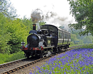 55 Stepney with Bluebell Special in Lindfield Wood - Derek Hayward - 3 May 2011