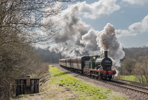 65 approaches Horsted Keyes with pre-grouping carriages - David Cable - 26 February 2022
