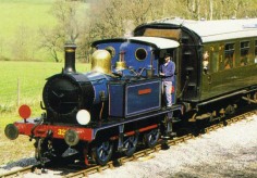 Bluebell