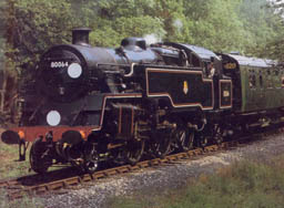80064 at work on the Bluebell