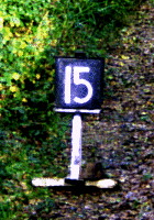Commencement of SR - 1