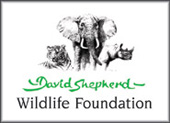 The David Shepherd Wildlife Foundation