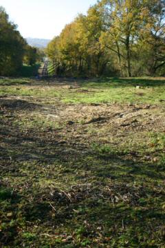 Click for larger version