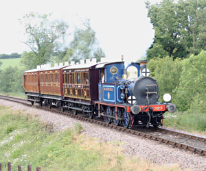 Bluebell with the three 4-wheelers - Andrew Strongitharm - 26 May 2011