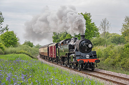 80151 amid the Bluebells - David Cable - 9 May 2022