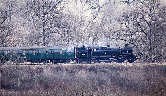 80151 long-shot from Highbrook - Graham Parsons - 20 March 2022