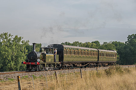 W11 on a photo charter with SECR carriages - David Cable - 30 July 2022