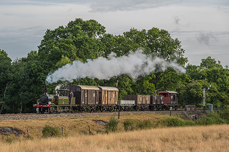 W11 with matching goods train - Keith Duke - 28 July 2022