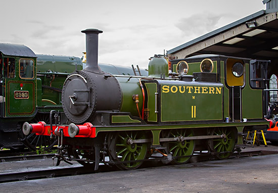 W11 on shed - Bluebell Railway - 30 July 2022