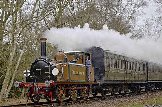 72 on its train - Brian Dandridge - 12 February 2023