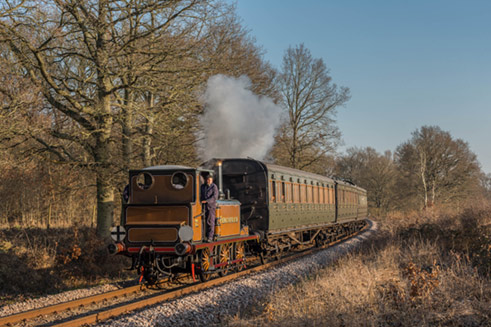 Fenchurch near Monteswood - David Cable - 14 February 2023
