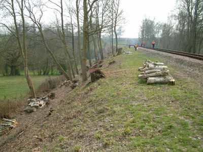 Lineside clearance gang