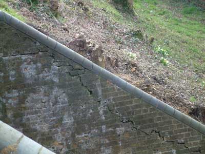 Cattle Creep - wing wall