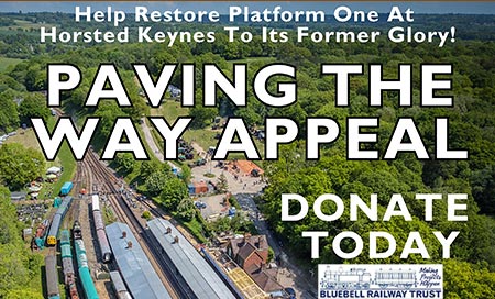 Donate to the Paving the Way appeal